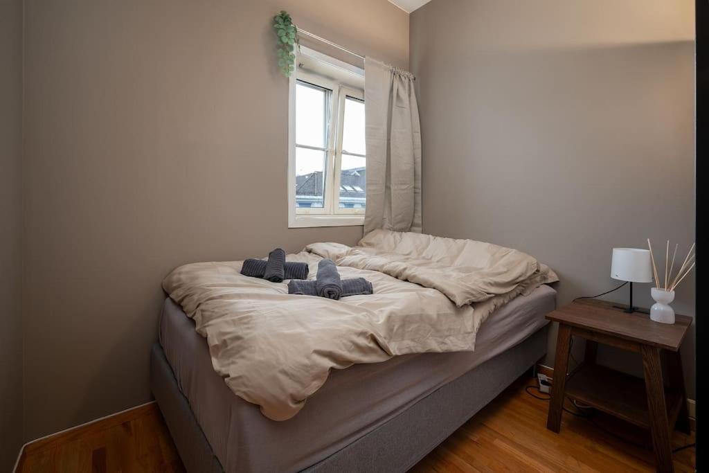 Studio Apt In City Centre Trondheim Buitenkant foto